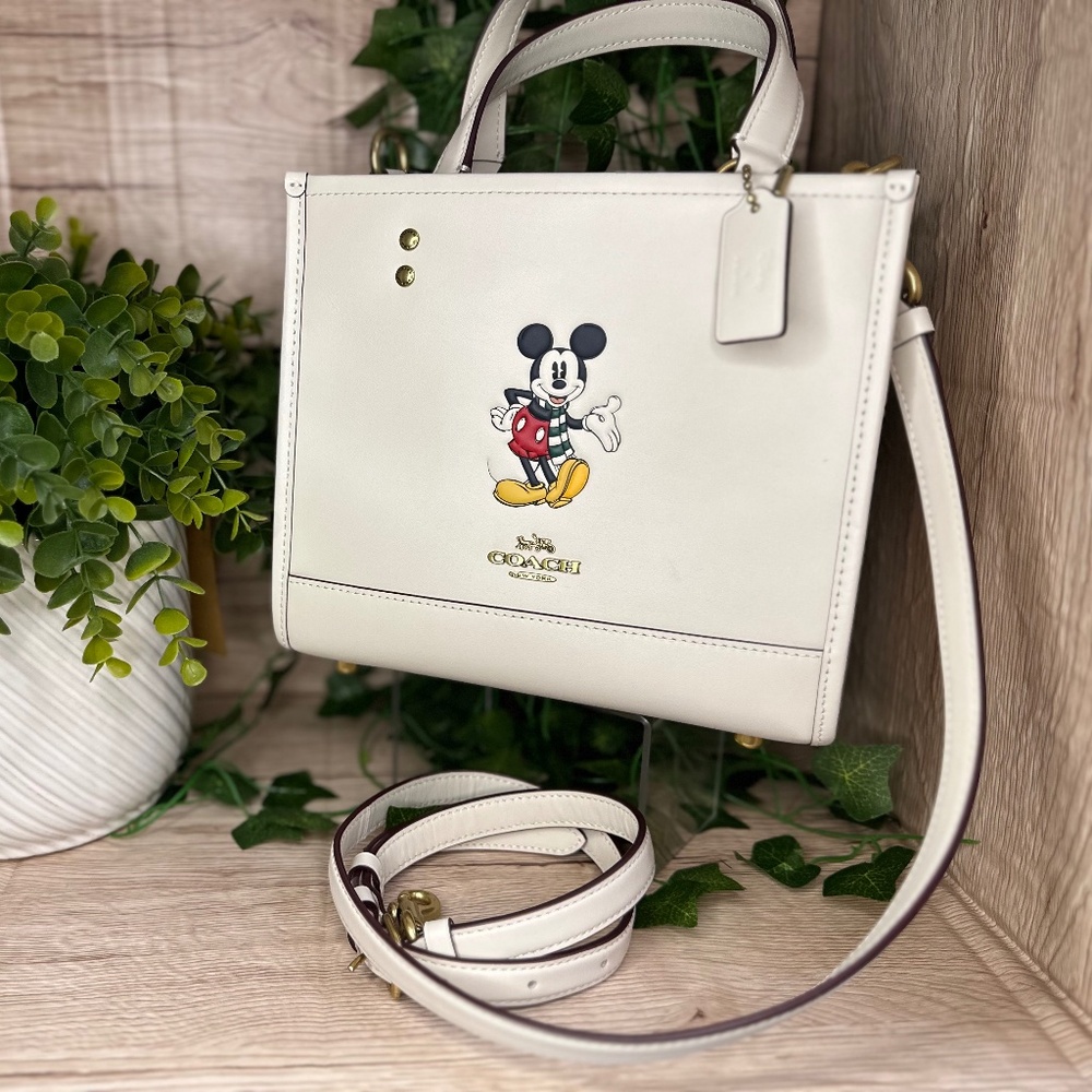 Mickey Dempsey Tote 22